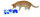 Cat Activity Playground, 39 x 24 cm