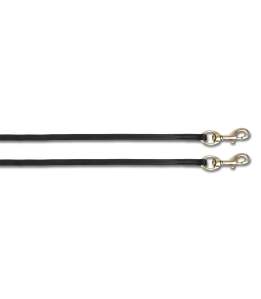 Island Zügel mit Karabiner