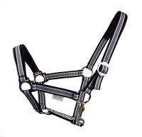 Halfter Regular Plus