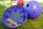 Likit Snak-a-Ball