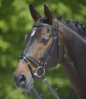 Trensenzaum Diamond