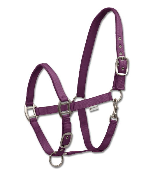 Perlonhalfter Satin