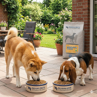 Lachs & Kartoffel