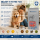 Knochen & Gelenke PLUS