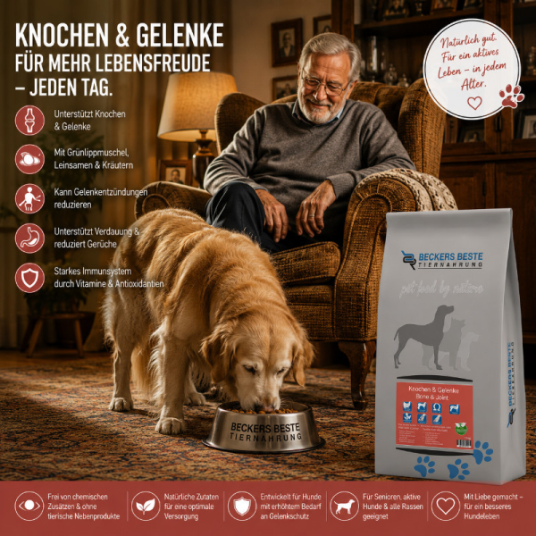 Knochen & Gelenke