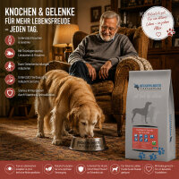 Knochen & Gelenke