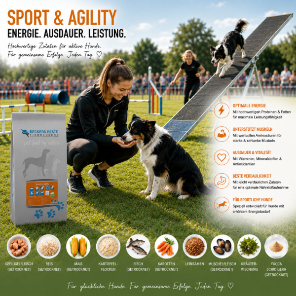 Sport & Agility