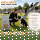 Sport & Agility