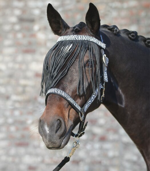 Zebra Halfter Set