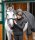 Lightweight Jacke Antwerpen