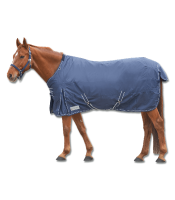 Outdoordecke Economic 300g