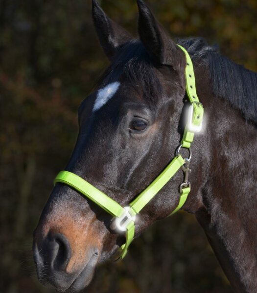 Reflex Halfter PON neon gelb