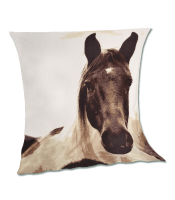Kuscheldecke Pferd