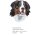 Bruststick Berner Sennenhund