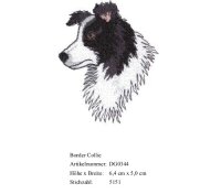 Bruststick Border Collie