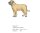 Bruststick Bullmastiff