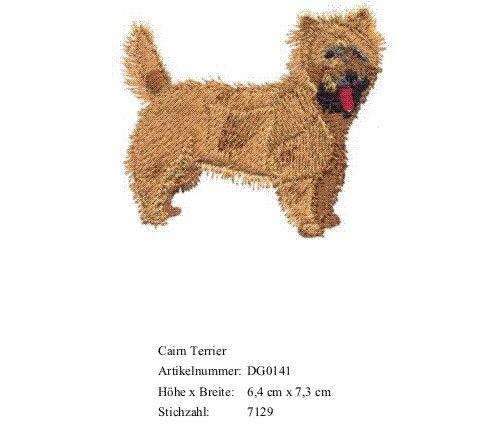 Bruststick Cairn Terrier