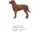 Bruststick Chesapeake Bay Retriever