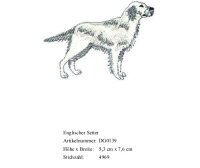 Bruststick Englischer Setter