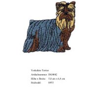 Bruststick Yorkshire Terrier
