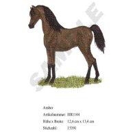 Rückenstick Araber