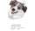 Rückenstick Australian Shephard