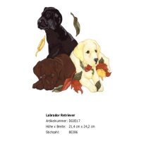 Rückenstick Labrador Retriever