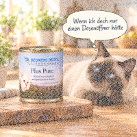 Pute Plus