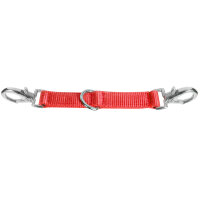 Longierbrille