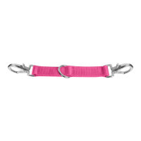 Longierbrille