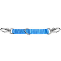 Longierbrille