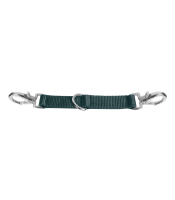 Longierbrille