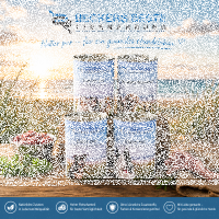 Beckers Beste Tiernahrung 12 x 400g Nassfutter Set