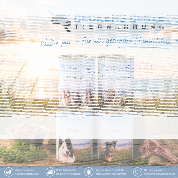 Beckers Beste Tiernahrung 12 x 800g Nassfutter Set