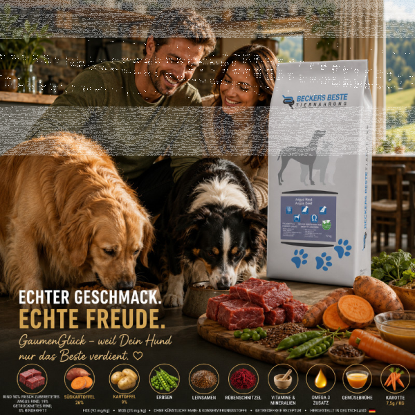 Angus-Rind mit Süßkartoffel und Karotte