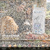 Angus-Rind mit Süßkartoffel und Karotte