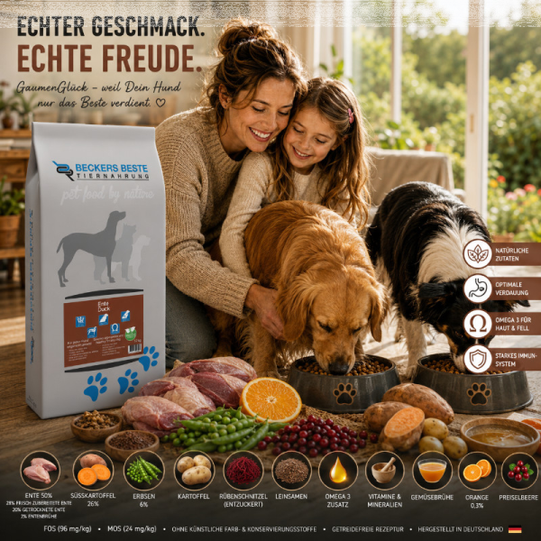 Ente mit Süßkartoffel und Orange