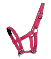 Mini-Shetty Halfter