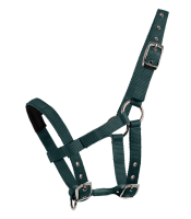 Mini-Shetty Halfter