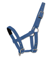 Mini-Shetty Halfter