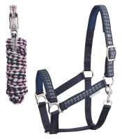 Halfter Set Silver Hearts