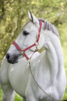 Halfter Exclusive mit zwei Dornschnallen