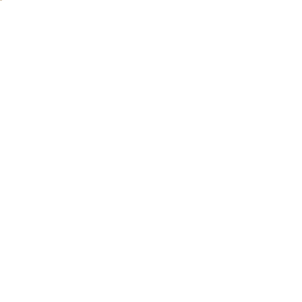 Adult PLUS 14kg
