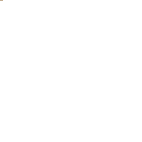Adult PLUS 14kg