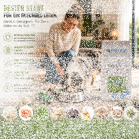 Junior Plus