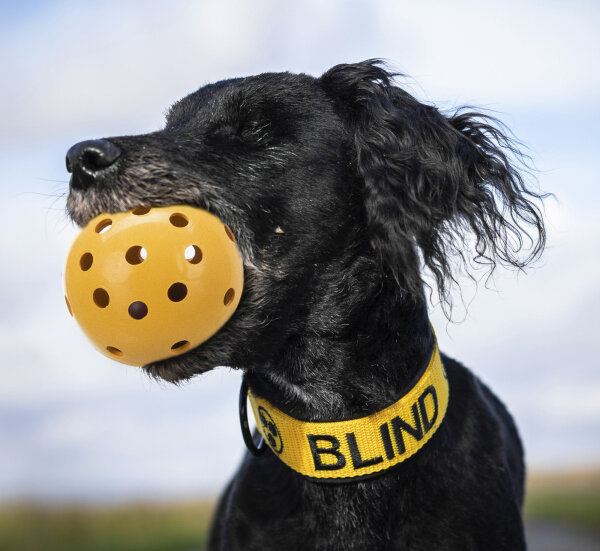 Lochball ø 7cm- speziell für sehbehinderte und blinde Hunde