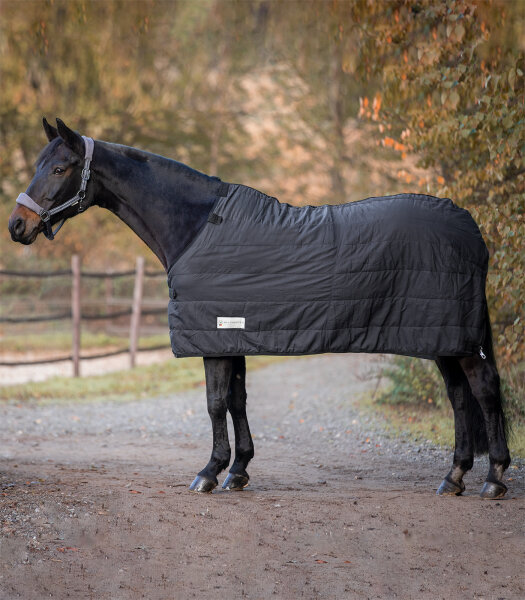 Thermo Unterdecke