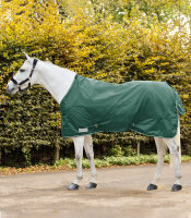 Regendecke Economic