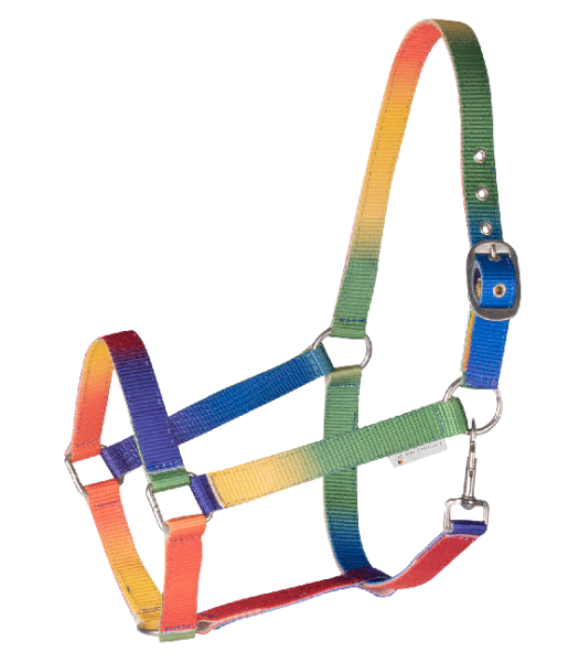 Halfter Regenbogen