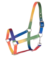 Halfter Regenbogen